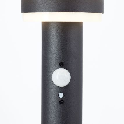 Brilliant - Світлодіодний світильник на сонячній батареї з датчиком GARVINA LED/3W/3,7V 85 см IP44 чорний