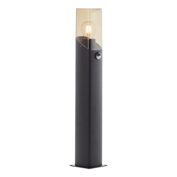 Brilliant - Вулична лампа з датчиком MINOU 1xE27/10W/230V IP44 чорний/димчастий