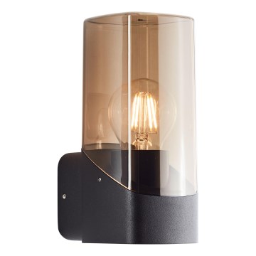 Brilliant - Вуличний настінний світильник MINOU 1xE27/10W/230V IP44 чорний/димчастий