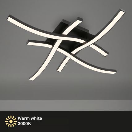 Brilo 3677-045 - LED стельовий світильник LED/14,4W/230V чорний