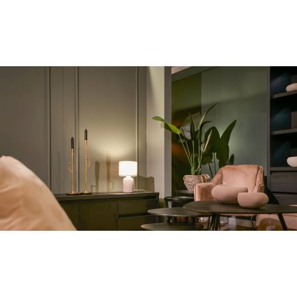 Brilo - Настольная лампа INO 1xE14/10W/230V коричневая