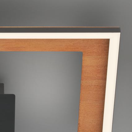 Brilo - Пристельова LED люстра з регулюванням яскравості FRAME 2xLED/11W/230V