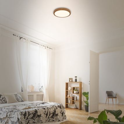 Brilo - Стельовий LED світильник RUNA LED/12W/230V