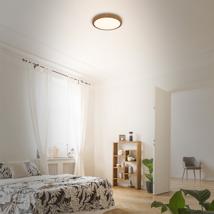 Brilo - Стельовий LED світильник RUNA LED/12W/230V