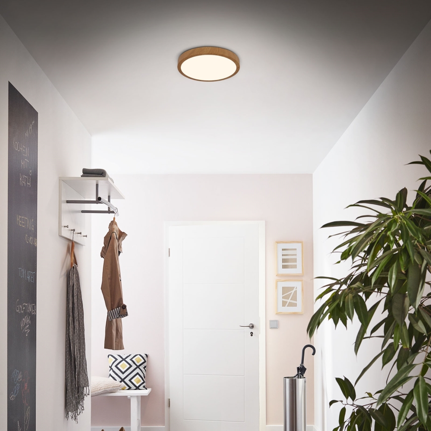 Brilo - Стельовий LED світильник RUNA LED/12W/230V