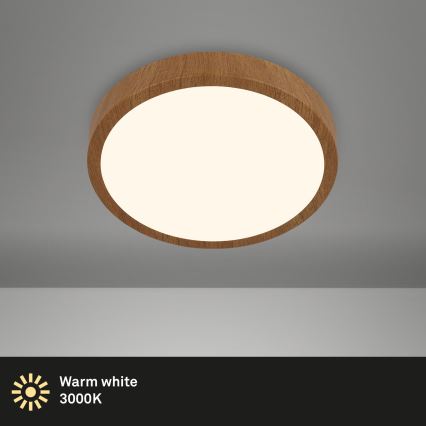 Brilo - Стельовий LED світильник RUNA LED/12W/230V