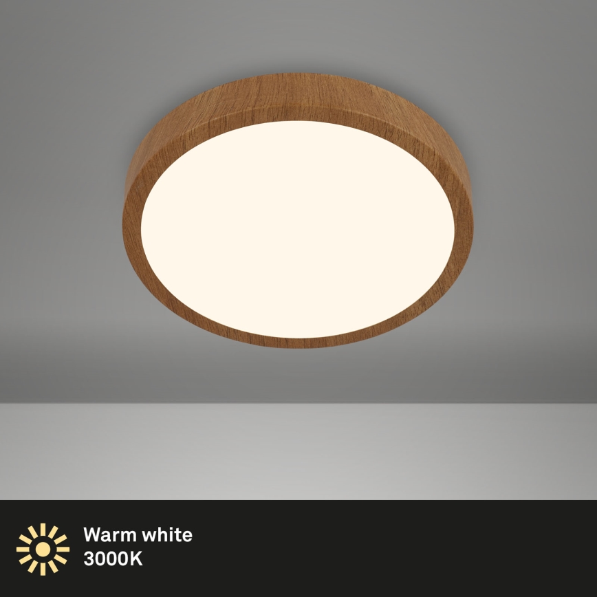 Brilo - Стельовий LED світильник RUNA LED/12W/230V