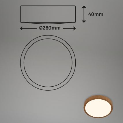 Brilo - Стельовий LED світильник RUNA LED/12W/230V