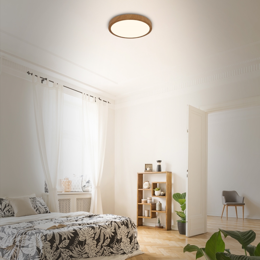 Brilo - Стельовий LED світильник RUNA LED/24W/230V