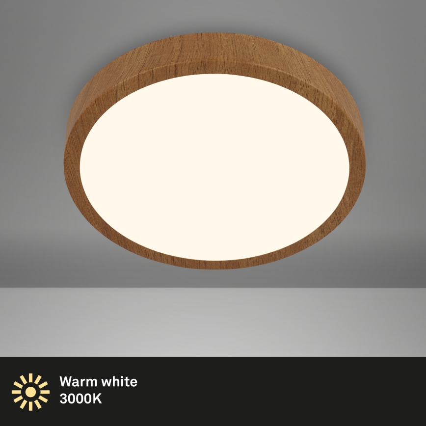 Brilo - Стельовий LED світильник RUNA LED/24W/230V