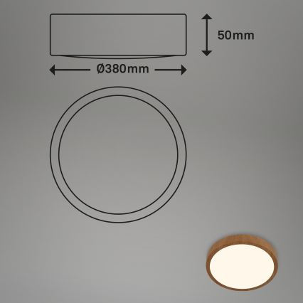Brilo - Стельовий LED світильник RUNA LED/24W/230V
