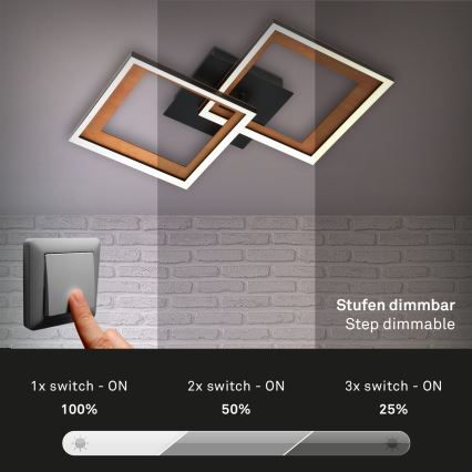 Brilo - Светодиодная припотолочная люстра с регулированием яркости FRAME 2xLED/11W/230V
