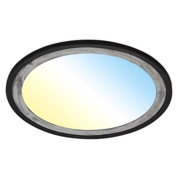 Brilo - Світлодіодний стельовий світильник з регулюванням яскравості SLIM LED/22W/230V 2700-6500K + пульт дистанційного керування