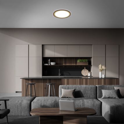 Brilo - Світлодіодний стельовий світильник з регулюванням яскравості SLIM LED/22W/230V 2700-6500K + пульт дистанційного керування