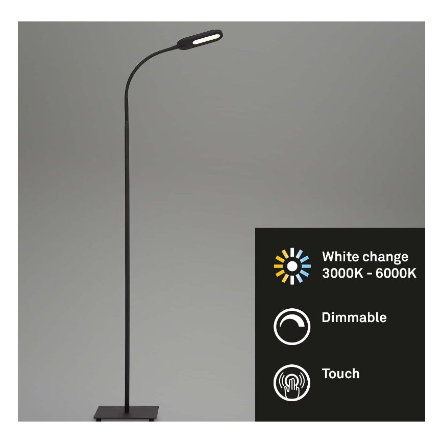 Briloner 1297-015 - LED Гнучкий торшер з регулюванням яскравості LED/6,6W/230V 3000K/4000K/6000K