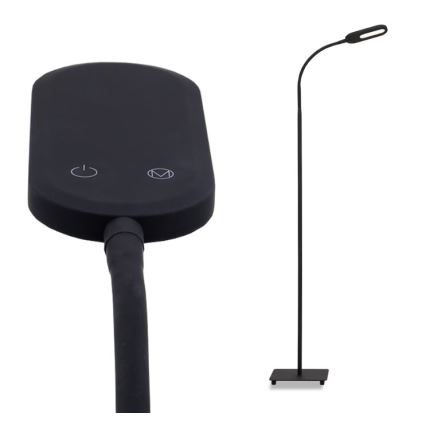 Briloner 1297-015 - Світлодіодна регульована гнучка підлогова лампа LED/6,6W/230V 3000K/4000K/6000K