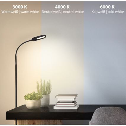 Briloner 1297-015 - Світлодіодна регульована гнучка підлогова лампа LED/6,6W/230V 3000K/4000K/6000K