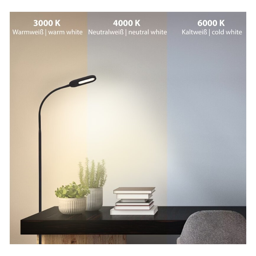 Briloner 1297-015 - Світлодіодна регульована гнучка підлогова лампа LED/6,6W/230V 3000K/4000K/6000K