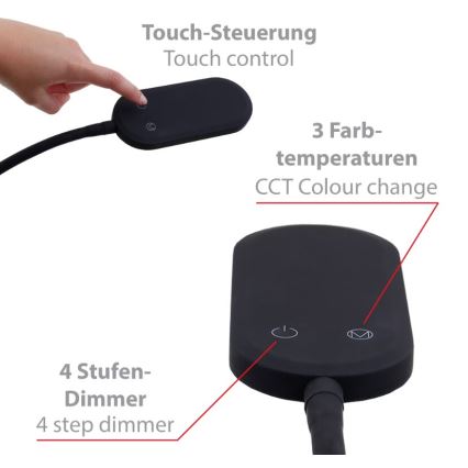 Briloner 1297-015 - Світлодіодна регульована гнучка підлогова лампа LED/6,6W/230V 3000K/4000K/6000K