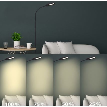 Briloner 1297-015 - Світлодіодна регульована гнучка підлогова лампа LED/6,6W/230V 3000K/4000K/6000K