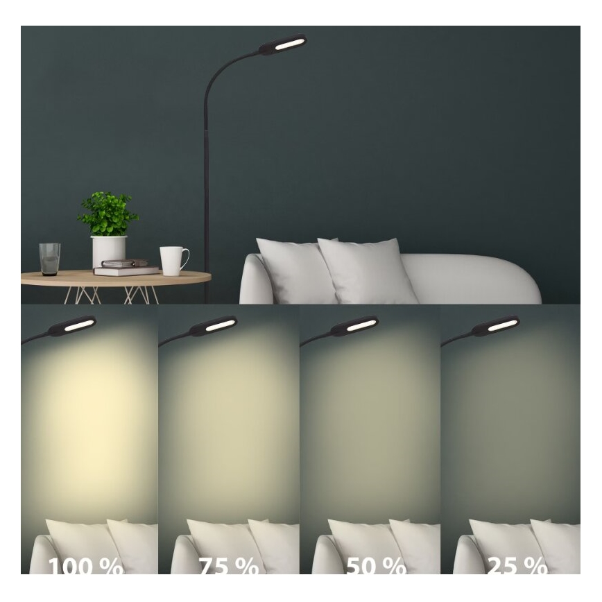 Briloner 1297-015 - Світлодіодна регульована гнучка підлогова лампа LED/6,6W/230V 3000K/4000K/6000K