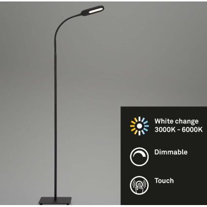 Briloner 1297-015 - Светодиодный гибкий торшер с регулированием яркости LED/6,6W/230V 3000K/4000K/6000K