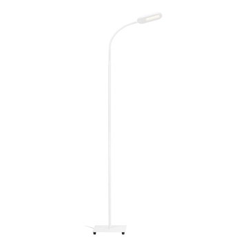 Briloner 1297-016 - LED Торшер з регулюванням яскравості LED/8W/230V 3000/4000/6000K