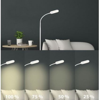 Briloner 1297-016 - Светодиодный сенсорный торшер с регулированием яркости LED/8W/230V 3000/4000/6000K