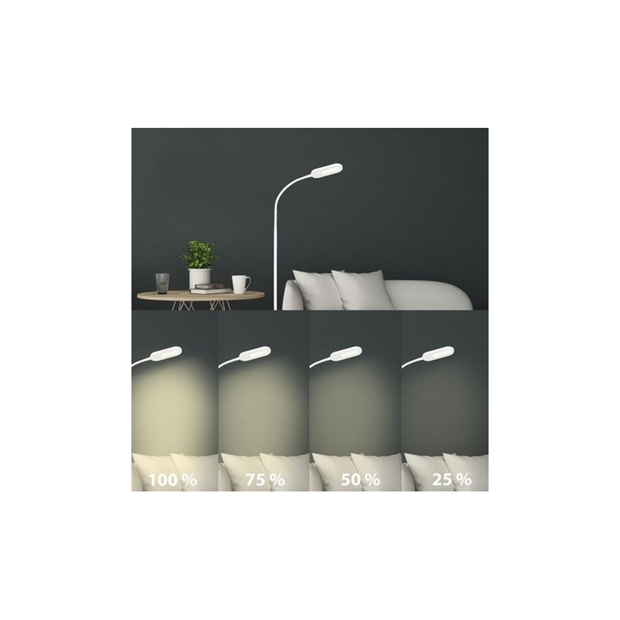 Briloner 1297-016 - Светодиодный сенсорный торшер с регулированием яркости LED/8W/230V 3000/4000/6000K