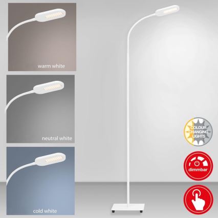 Briloner 1297-016 - Светодиодный сенсорный торшер с регулированием яркости LED/8W/230V 3000/4000/6000K