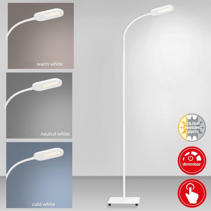 Briloner 1297-016 - Светодиодный сенсорный торшер с регулированием яркости LED/8W/230V 3000/4000/6000K