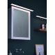 Briloner 2060-018 - LED Підсвітка дзеркала для ванної SPLASH LED/10W/230V IP23