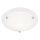 Briloner 2118-016 - Стельовий світильник для ванної кімнати SPLASH 1xE27/60W/230V IP23