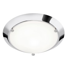 Briloner 2118-018 - Стельовий світильник для ванної кімнати SPLASH 1xE27/60W/230V IP23