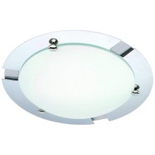 Briloner 2120-018 - Стельовий світильник для ванної кімнати SPLASH 1xE27/60W/230V IP23