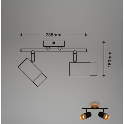 Briloner 2144025 - Точечный светильник SPOT 2xGU10/9W/230V