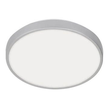 Briloner 2246-018 - Светодиодный потолочный светильник для ванной комнаты SPLASH LED/12W/230V IP44