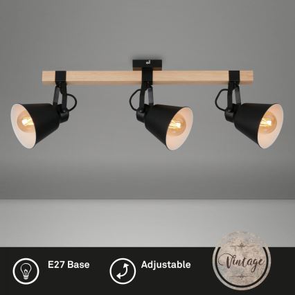 Briloner 2406-035 - Точковий світильник SPOT 3xE27/40W/230V