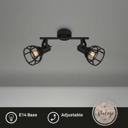 Briloner 2669-025 - Точечный светильник RETRO 2xE14/25W/230V