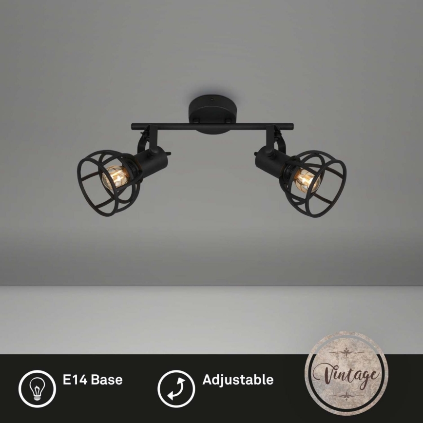 Briloner 2669-025 - Точковий світильник RETRO 2xE14/25W/230V