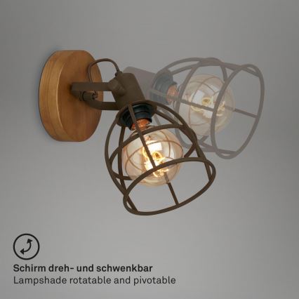 Briloner 2670-014 - Настінний точковий світильник RETRO 1xE27/25W/230V коричневий