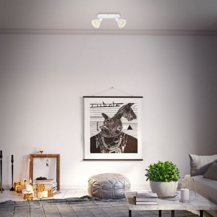 Briloner 2674-026 - Точечный светильник RETRO 2xE14/25W/230V белый