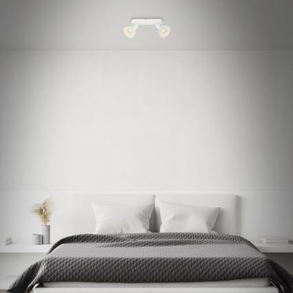 Briloner 2674-026 - Точковий світильник RETRO 2xE14/25W/230V білий