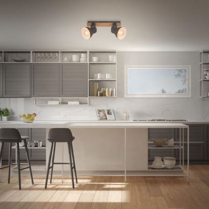 Briloner 2742-025 - Точковий світильник SPOTLIGHT 2xE27/40W/230V чорний/коричневий