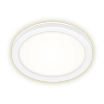 Briloner 3008-016 - Світлодіодний стельовий світильник LED/8W/230V діаметр 21 cm білий IP44