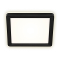 Briloner 3010-015 - Світлодіодний стельовий світильник LED/8W/230V 19x19 cm чорний IP44