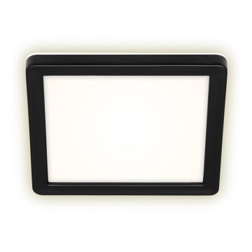 Briloner 3010-015 - Світлодіодний стельовий світильник LED/8W/230V 19x19 cm чорний IP44
