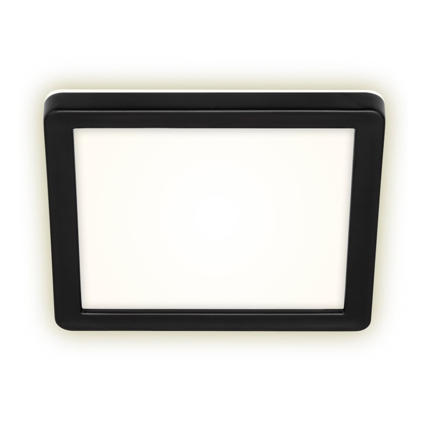 Briloner 3010-015 - Світлодіодний стельовий світильник LED/8W/230V 19x19 cm чорний IP44