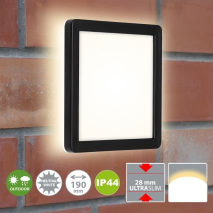 Briloner 3010-015 - Світлодіодний стельовий світильник LED/8W/230V 19x19 cm чорний IP44