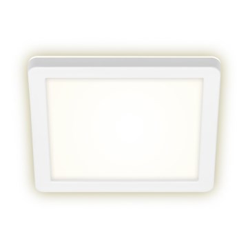Briloner 3010-016 - Світлодіодний стельовий світильник LED/8W/230V 19x19 cm білий IP44